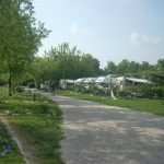 2011gelindo 003