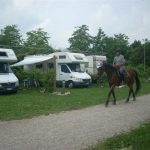 2011gelindo 013