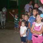 2011gelindo 051