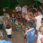 2011gelindo 055