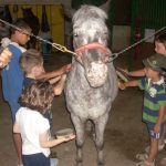 2011gelindo 057