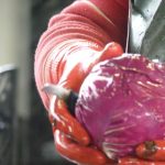 2012 Radicchio