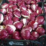 2012 Radicchio