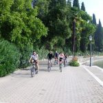 2012bardolino 21