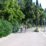 2012bardolino 22