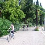 2012bardolino 23