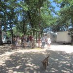 2012medugorjetour 10