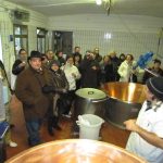 2012 Zibello