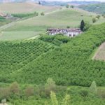 2014 langhe 33