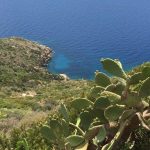 argentario 22