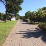 argentario 38