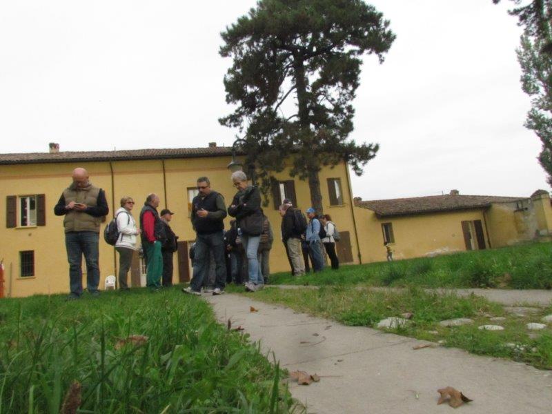 bologna sasso 73