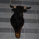cento 18