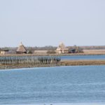 img_0172