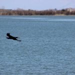 img_0211