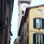 img_3919