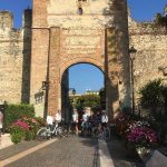 lasize 4