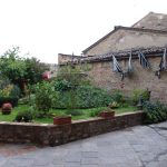 montisi 43