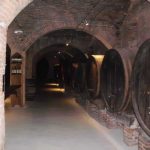 montisi 47