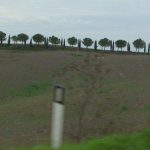 montisi 56