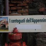 montisi 62