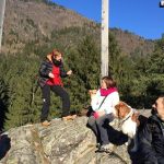 pinzolo 53