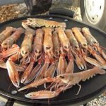 porec06