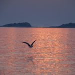 porec35