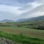 2019 Pasqua Marche