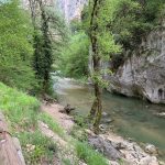 2019 Pasqua Marche